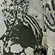 https://img.ltwebstatic.com/v4/j/pi/2025/05/21/b5/174782117903bc2b5f75e97e0ae151f1348140b455.jpg